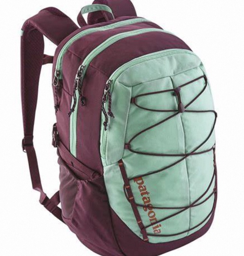 patagonia backpacks